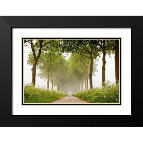 This Appears Black Modern Wood Framed Art Print with Double Matting by Van de Goor, Lars