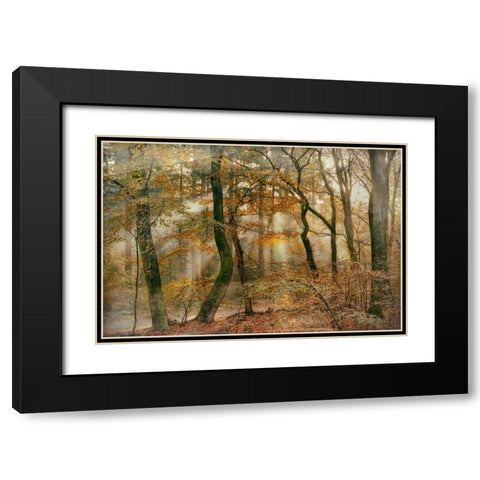 You Cant Hide Your Rays for Me Black Modern Wood Framed Art Print with Double Matting by Van de Goor, Lars