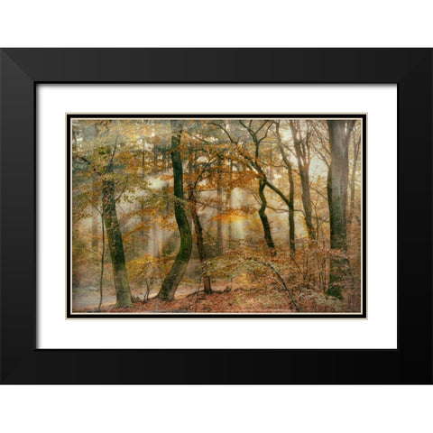 You Cant Hide Your Rays for Me Black Modern Wood Framed Art Print with Double Matting by Van de Goor, Lars