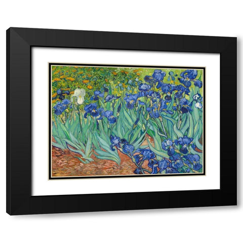Irises 1889 Black Modern Wood Framed Art Print with Double Matting by Van Gogh, Vincent