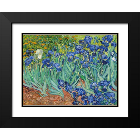 Irises 1889 Black Modern Wood Framed Art Print with Double Matting by Van Gogh, Vincent