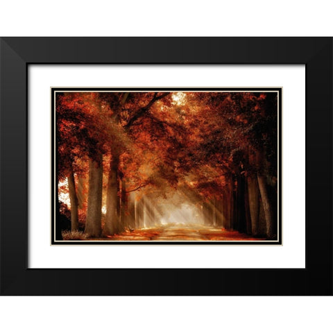 A Seat Not Taken III Black Modern Wood Framed Art Print with Double Matting by Van de Goor, Lars