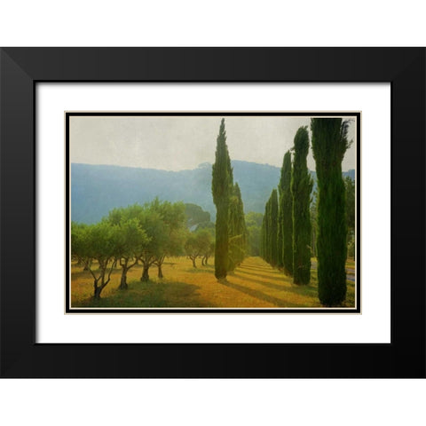 Cypress Shadows Black Modern Wood Framed Art Print with Double Matting by Van de Goor, Lars