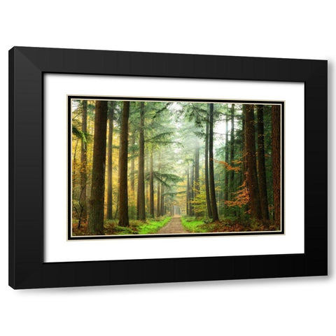 Divide Black Modern Wood Framed Art Print with Double Matting by Van de Goor, Lars
