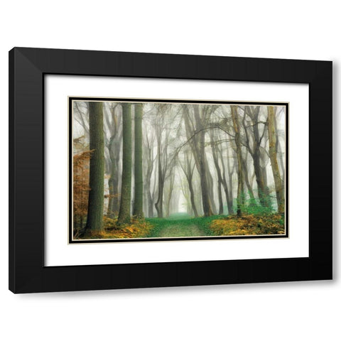 Magic Is Everywhere Black Modern Wood Framed Art Print with Double Matting by Van de Goor, Lars
