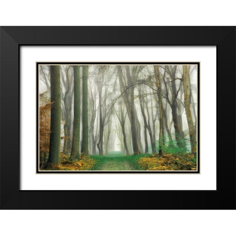 Magic Is Everywhere Black Modern Wood Framed Art Print with Double Matting by Van de Goor, Lars