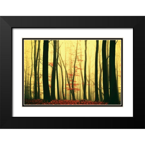 Red Leaves Black Modern Wood Framed Art Print with Double Matting by Van de Goor, Lars