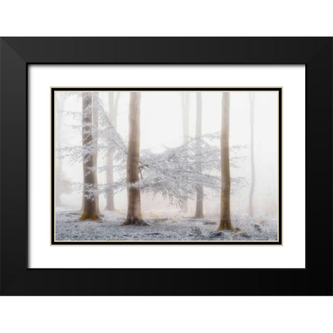 Lishka Black Modern Wood Framed Art Print with Double Matting by Van de Goor, Lars