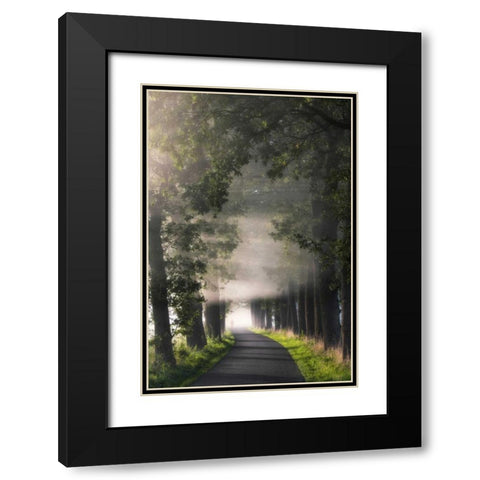 Rays of Fog Black Modern Wood Framed Art Print with Double Matting by Van de Goor, Lars