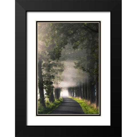 Rays of Fog Black Modern Wood Framed Art Print with Double Matting by Van de Goor, Lars