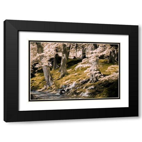 A Fine Place to Rest Black Modern Wood Framed Art Print with Double Matting by Van de Goor, Lars
