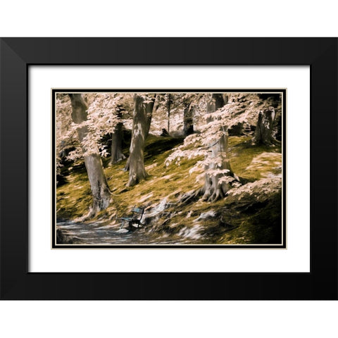 A Fine Place to Rest Black Modern Wood Framed Art Print with Double Matting by Van de Goor, Lars