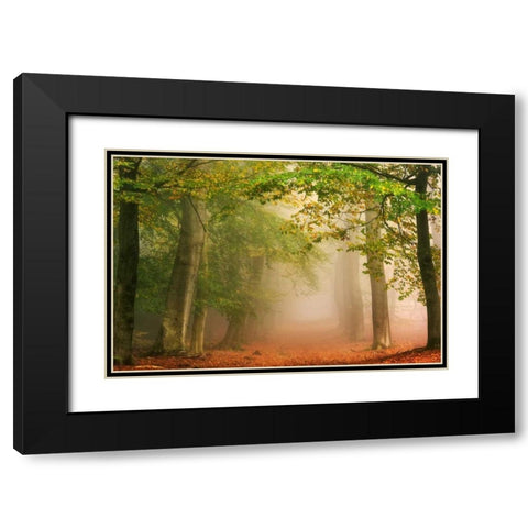 Dreambridge Black Modern Wood Framed Art Print with Double Matting by Van de Goor, Lars