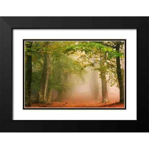 Dreambridge Black Modern Wood Framed Art Print with Double Matting by Van de Goor, Lars