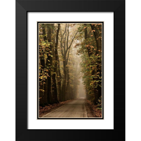 Folia Black Modern Wood Framed Art Print with Double Matting by Van de Goor, Lars