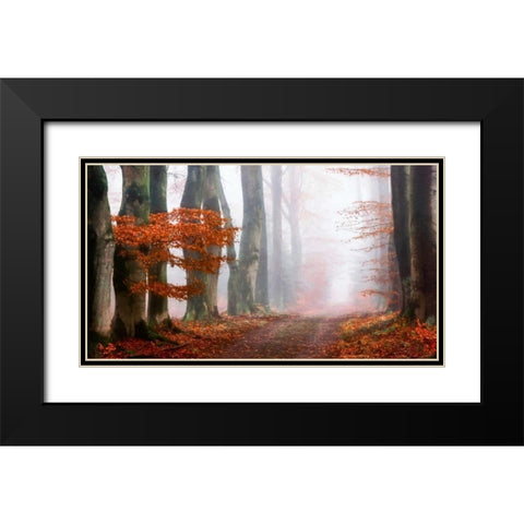 Last Guide before the Mist Black Modern Wood Framed Art Print with Double Matting by Van de Goor, Lars