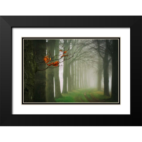Old and New Black Modern Wood Framed Art Print with Double Matting by Van de Goor, Lars