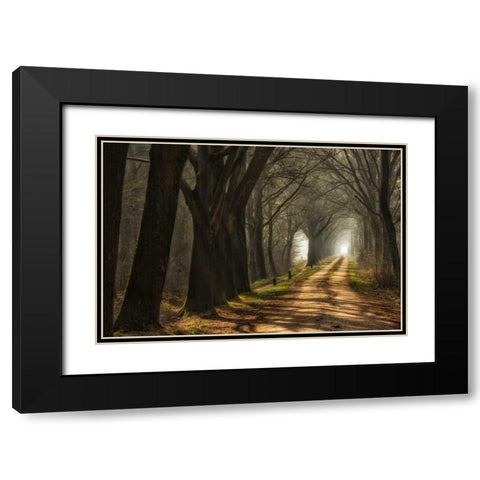 Paths Black Modern Wood Framed Art Print with Double Matting by Van de Goor, Lars