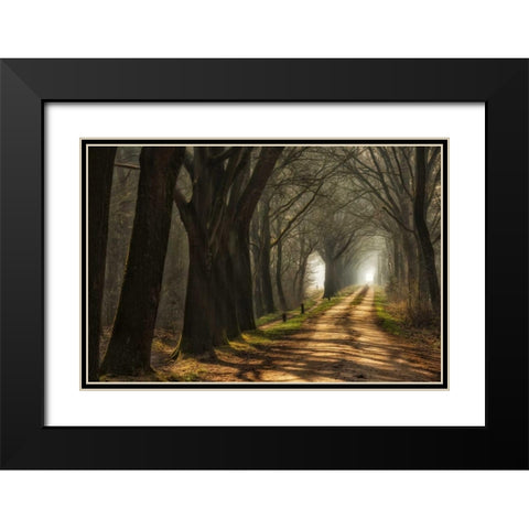 Paths Black Modern Wood Framed Art Print with Double Matting by Van de Goor, Lars