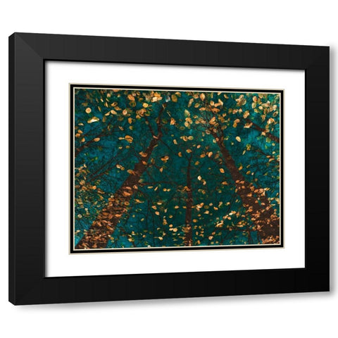 Platoaâ‚¬â„¢s Trees Black Modern Wood Framed Art Print with Double Matting by Van de Goor, Lars