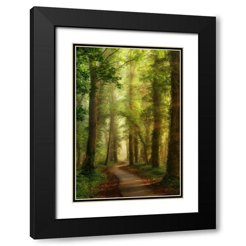 Snake Path Black Modern Wood Framed Art Print with Double Matting by Van de Goor, Lars