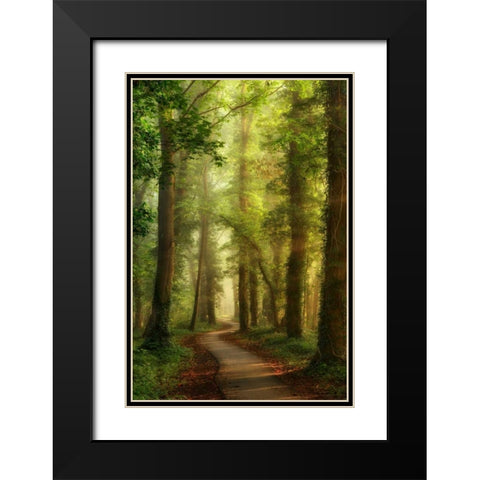 Snake Path Black Modern Wood Framed Art Print with Double Matting by Van de Goor, Lars