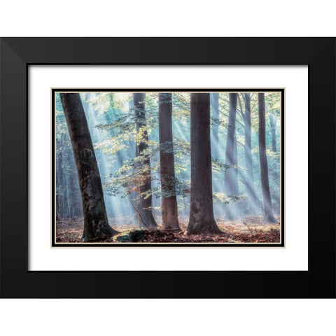 Spellbound Black Modern Wood Framed Art Print with Double Matting by Van de Goor, Lars