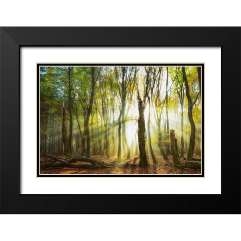 Still Standing Black Modern Wood Framed Art Print with Double Matting by Van de Goor, Lars