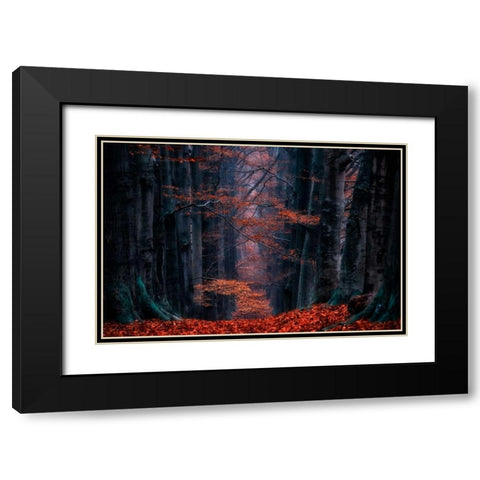 Synapse Black Modern Wood Framed Art Print with Double Matting by Van de Goor, Lars