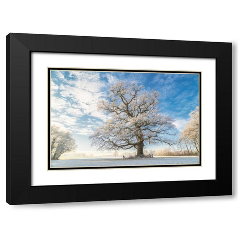 Cold Oak Black Modern Wood Framed Art Print with Double Matting by Van de Goor, Lars