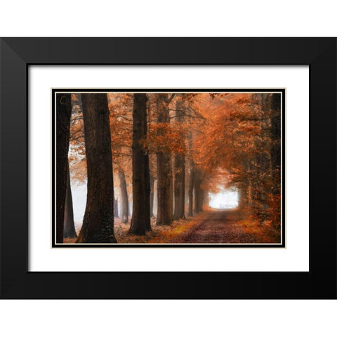 Glorious Season Black Modern Wood Framed Art Print with Double Matting by Van de Goor, Lars