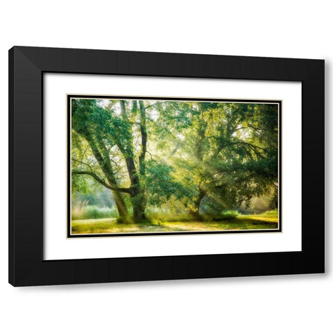 Receiving and Giving Black Modern Wood Framed Art Print with Double Matting by Van de Goor, Lars