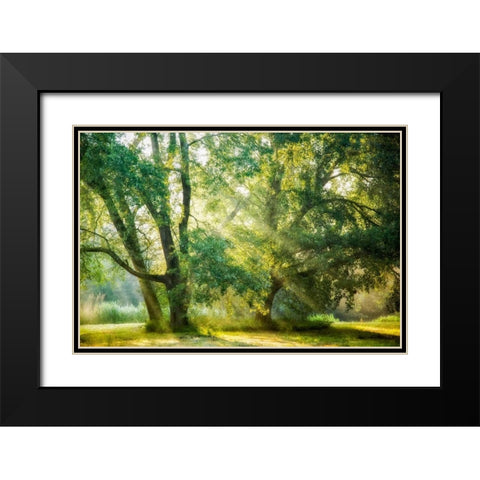 Receiving and Giving Black Modern Wood Framed Art Print with Double Matting by Van de Goor, Lars