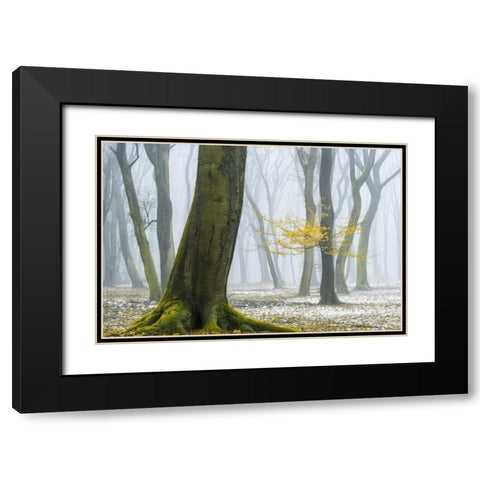 Winter Colors Black Modern Wood Framed Art Print with Double Matting by Van de Goor, Lars