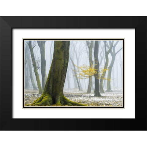 Winter Colors Black Modern Wood Framed Art Print with Double Matting by Van de Goor, Lars