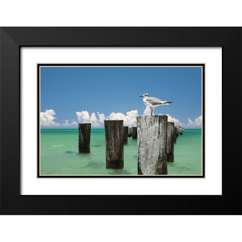 Welcome to Naples, Florida Black Modern Wood Framed Art Print with Double Matting by Varona, Verne