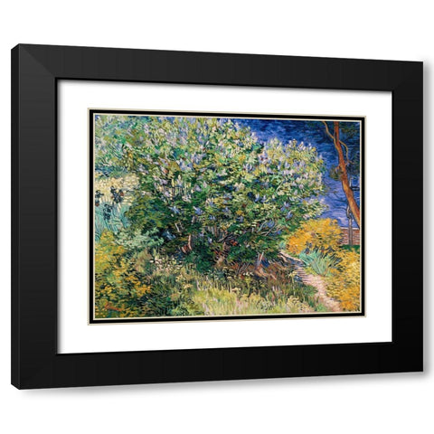 Lilac Bush Black Modern Wood Framed Art Print with Double Matting by Van Gogh, Vincent