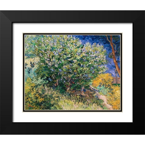 Lilac Bush Black Modern Wood Framed Art Print with Double Matting by Van Gogh, Vincent