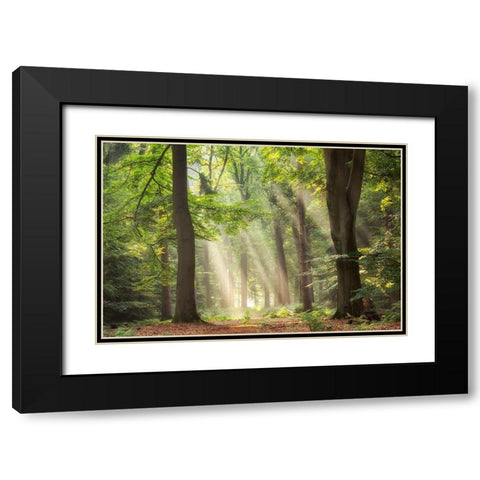 A Touch of Glory Black Modern Wood Framed Art Print with Double Matting by Van de Goor, Lars