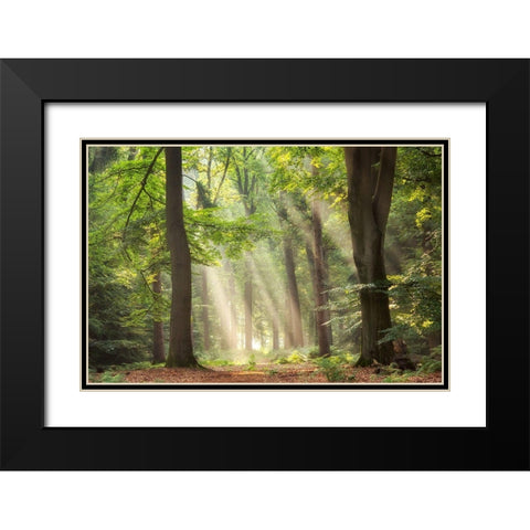 A Touch of Glory Black Modern Wood Framed Art Print with Double Matting by Van de Goor, Lars