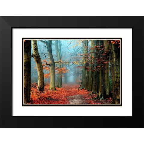 Bussum in Fall Black Modern Wood Framed Art Print with Double Matting by Van de Goor, Lars