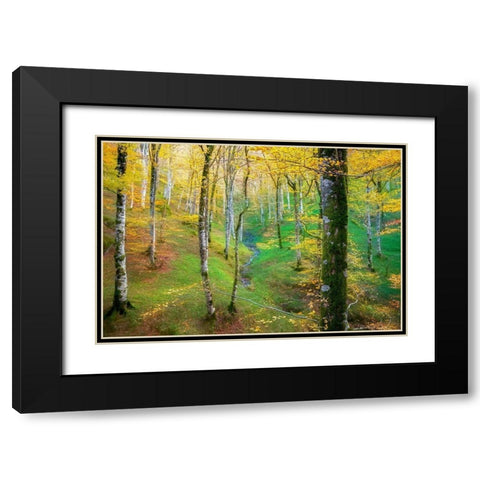 Dream of Birches Black Modern Wood Framed Art Print with Double Matting by Van de Goor, Lars