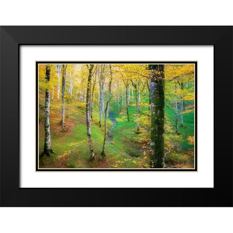 Dream of Birches Black Modern Wood Framed Art Print with Double Matting by Van de Goor, Lars