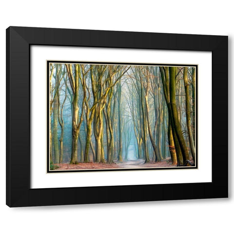 Light and Trees Black Modern Wood Framed Art Print with Double Matting by Van de Goor, Lars
