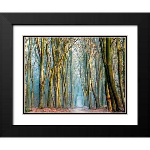 Light and Trees Black Modern Wood Framed Art Print with Double Matting by Van de Goor, Lars
