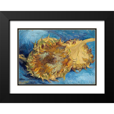 Sunflowers, 1887 Black Modern Wood Framed Art Print with Double Matting by Van Gogh, Vincent