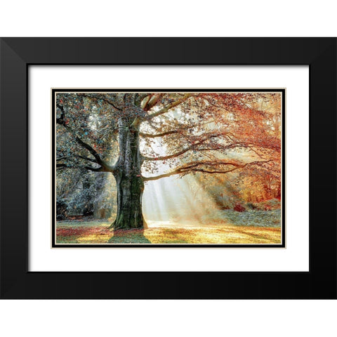 Basking In The Sun Black Modern Wood Framed Art Print with Double Matting by Van de Goor, Lars