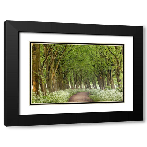 Cow Parsley Curve Black Modern Wood Framed Art Print with Double Matting by Van de Goor, Lars