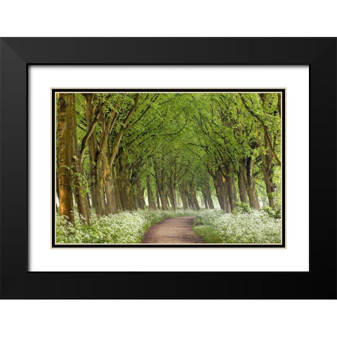 Cow Parsley Curve Black Modern Wood Framed Art Print with Double Matting by Van de Goor, Lars