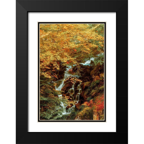 Hidden Waterfall Black Modern Wood Framed Art Print with Double Matting by Van de Goor, Lars